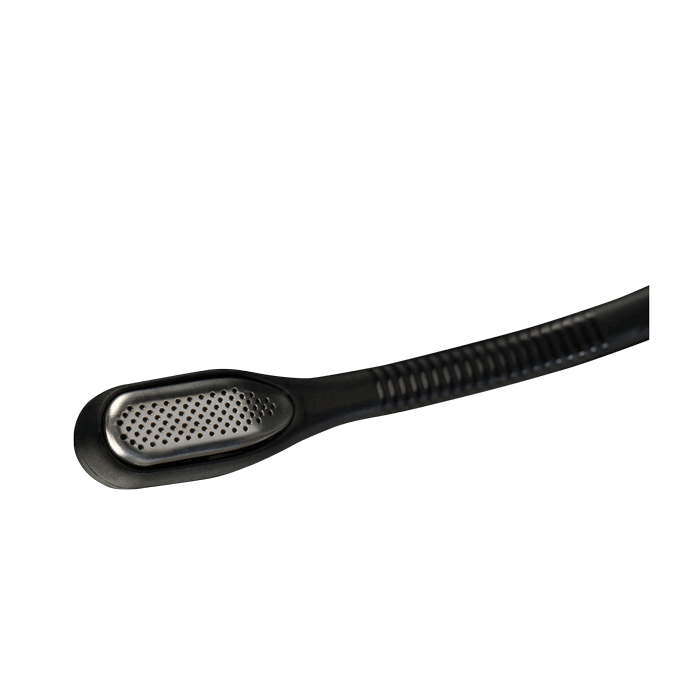 Biz-4.png.webp