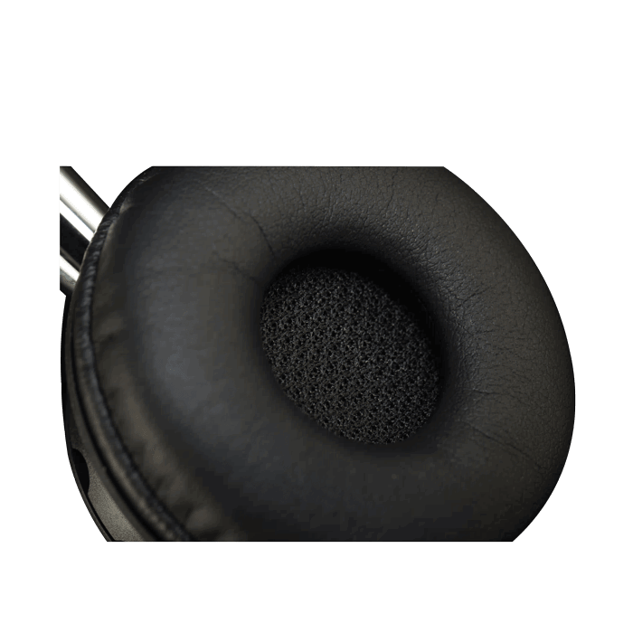 Biz-2.png.webp