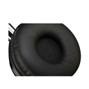 Biz-2.png.webp